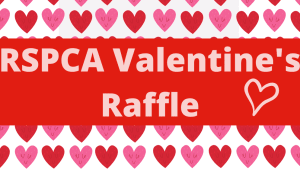 RSPCA Valentine's Raffle