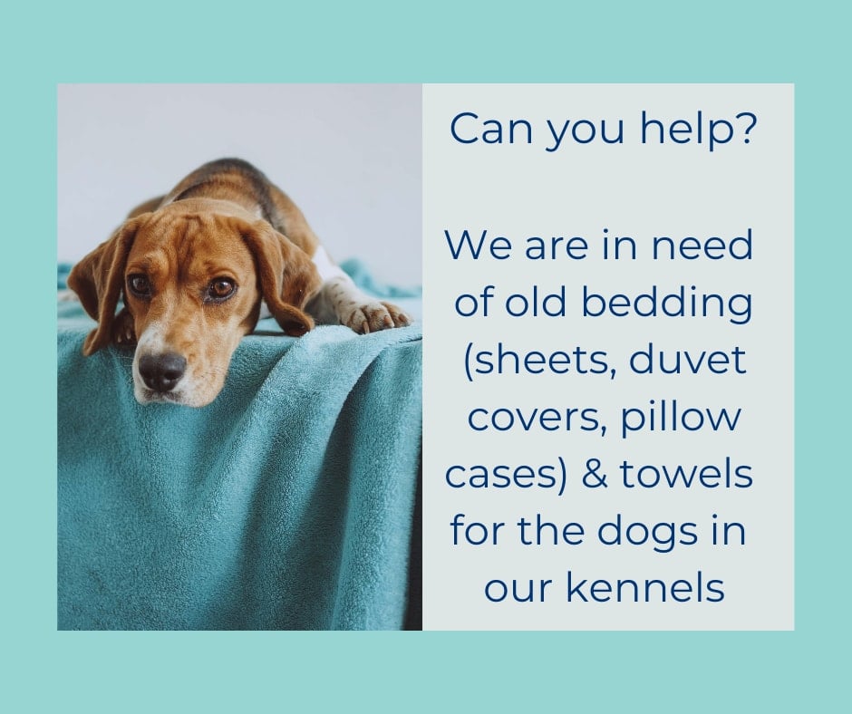 Bedding and Towel Appeal | RSPCA Doncaster and Rotherham District