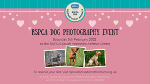RSPCA Dog Photography Event