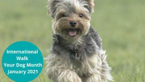International Walk Your Dog Month